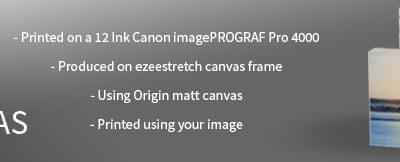 Win A Framed A2 Canvas