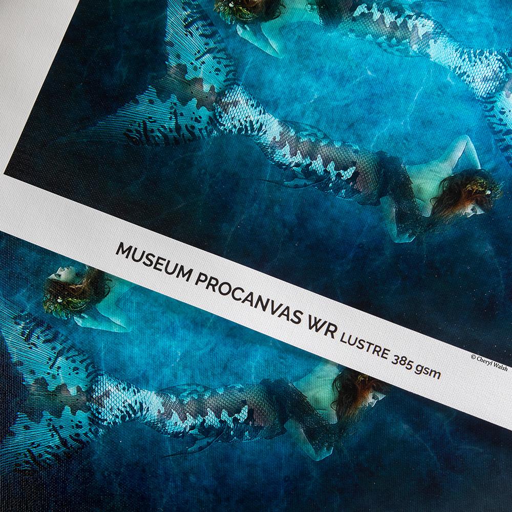 Canson Infinity Museum Pro Canvas - 385gsm - Image 3