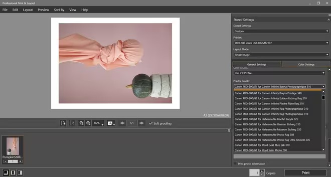 Soft proofing Canon imagePROGRAF PRO series prints before output
