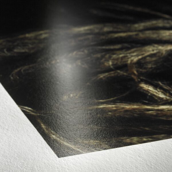 Photo Rag® Baryta 315 gsm · 100% Cotton · white · high-gloss finish