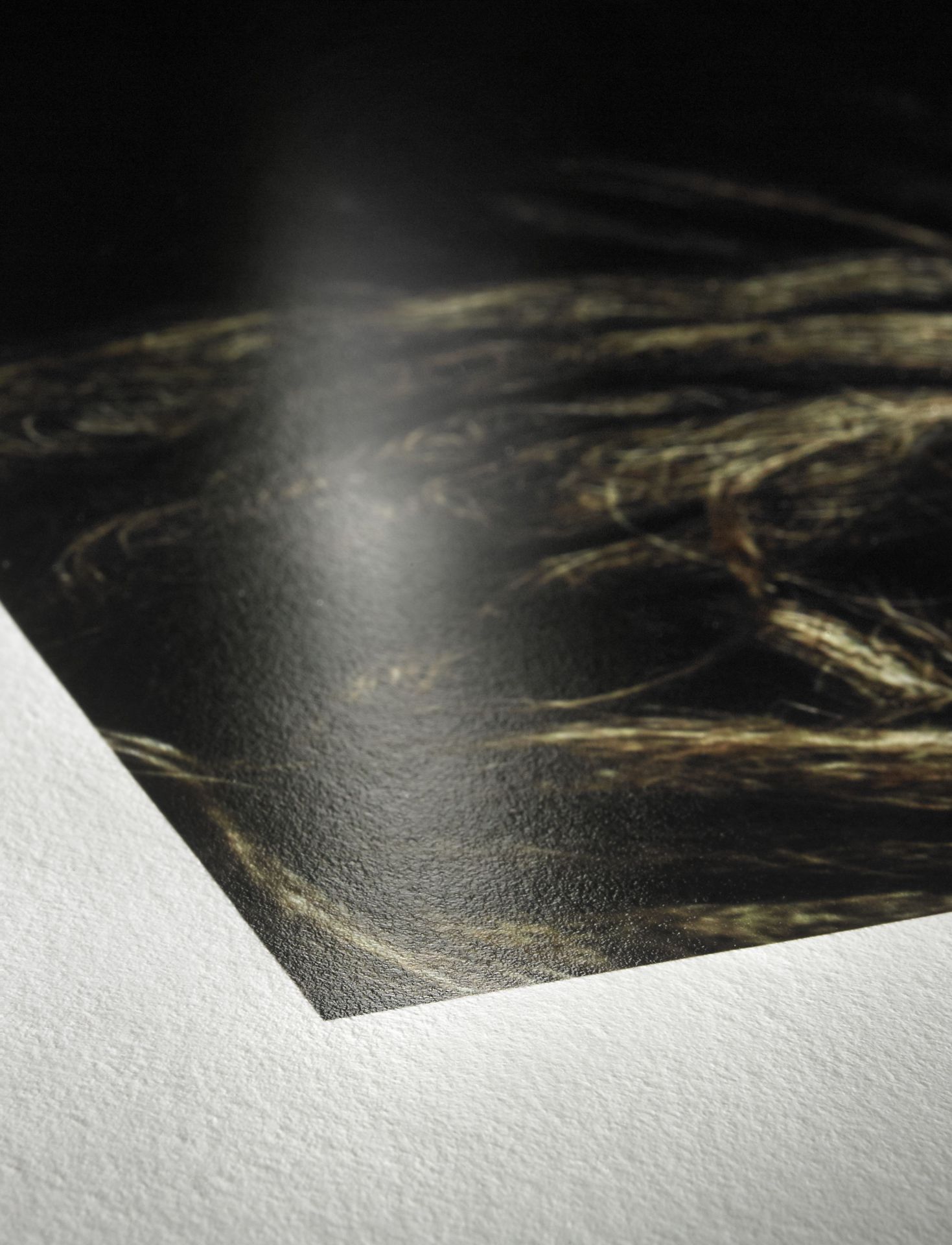 Hahnemühle Photo Rag Baryta cotton with gloss