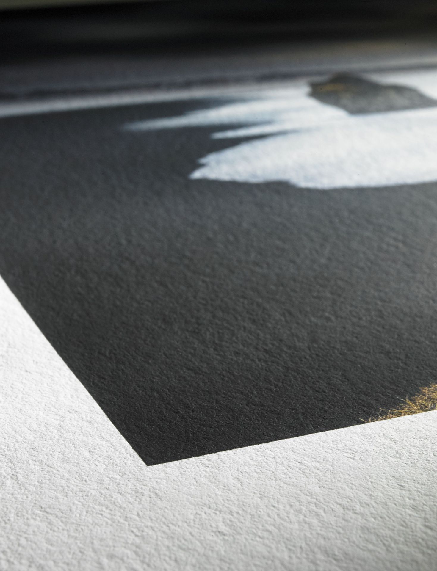 Hahnemühle Photo Rag Bright White paper surface