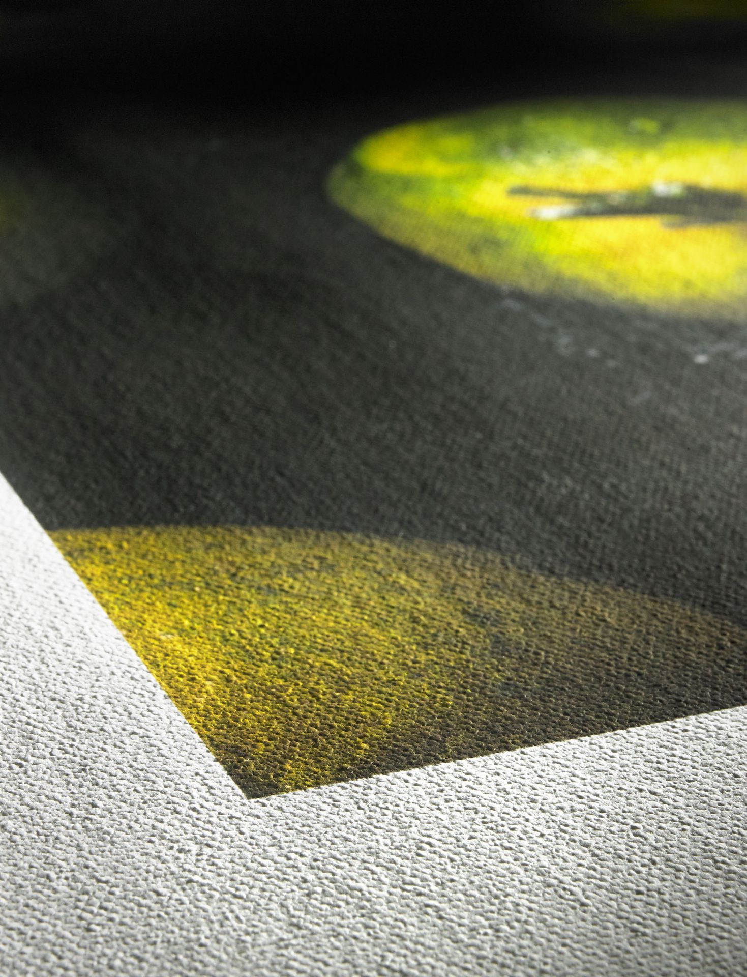 Hahnemühle Canvas Artist fine grain texture