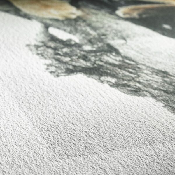 Hahnemühle German Etching 310gsm – Classic Textured Copperplate Paper