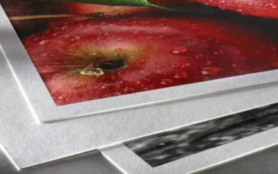 Complete Guide to Hahnemühle Fine Art Papers